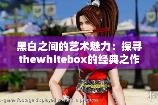 黑白之间的艺术魅力：探寻thewhitebox的经典之作