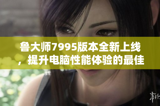 鲁大师7995版本全新上线，提升电脑性能体验的最佳选择