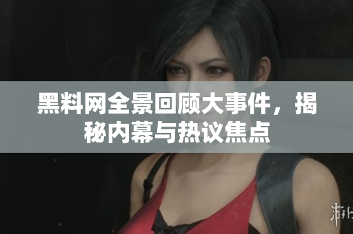 黑料网全景回顾大事件，揭秘内幕与热议焦点