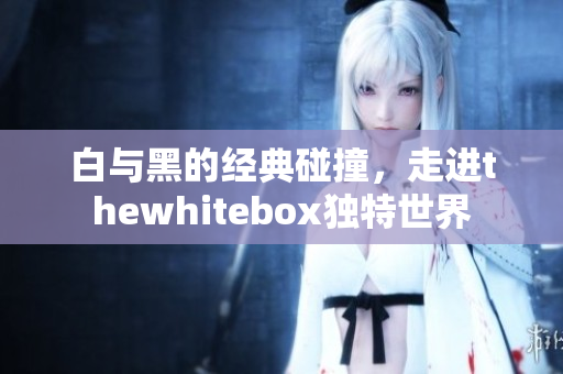 白与黑的经典碰撞，走进thewhitebox独特世界