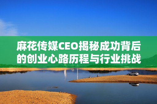 麻花传媒CEO揭秘成功背后的创业心路历程与行业挑战