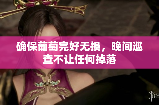 确保葡萄完好无损，晚间巡查不让任何掉落