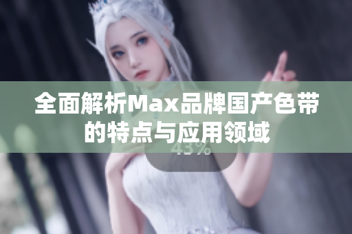 全面解析Max品牌国产色带的特点与应用领域