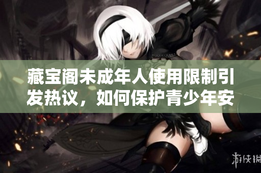 藏宝阁未成年人使用限制引发热议，如何保护青少年安全？