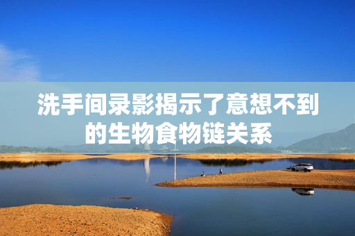 洗手间录影揭示了意想不到的生物食物链关系