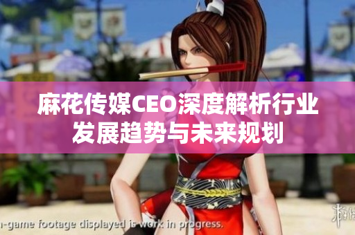 麻花传媒CEO深度解析行业发展趋势与未来规划