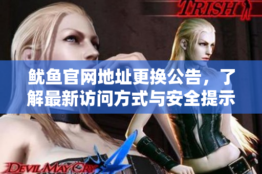 鱿鱼官网地址更换公告，了解最新访问方式与安全提示