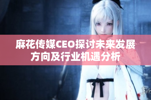 麻花传媒CEO探讨未来发展方向及行业机遇分析