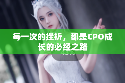 每一次的挫折，都是CPO成长的必经之路