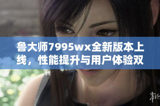 鲁大师7995wx全新版本上线，性能提升与用户体验双重优化