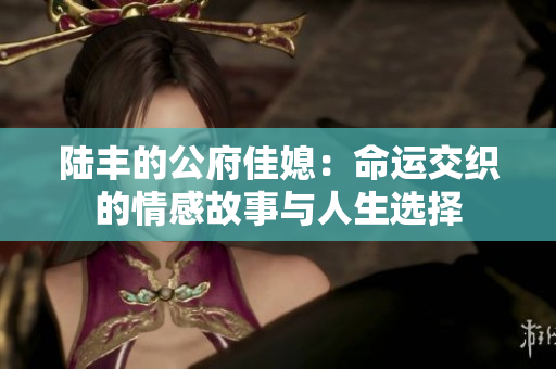 陆丰的公府佳媳：命运交织的情感故事与人生选择