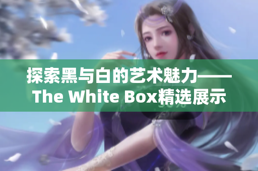 探索黑与白的艺术魅力——The White Box精选展示