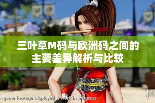 三叶草M码与欧洲码之间的主要差异解析与比较