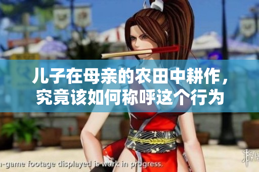 儿子在母亲的农田中耕作，究竟该如何称呼这个行为
