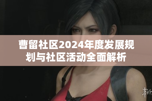 曹留社区2024年度发展规划与社区活动全面解析