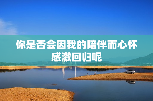 你是否会因我的陪伴而心怀感激回归呢