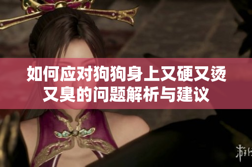 如何应对狗狗身上又硬又烫又臭的问题解析与建议