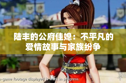 陆丰的公府佳媳：不平凡的爱情故事与家族纷争