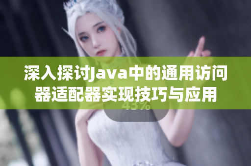 深入探讨Java中的通用访问器适配器实现技巧与应用