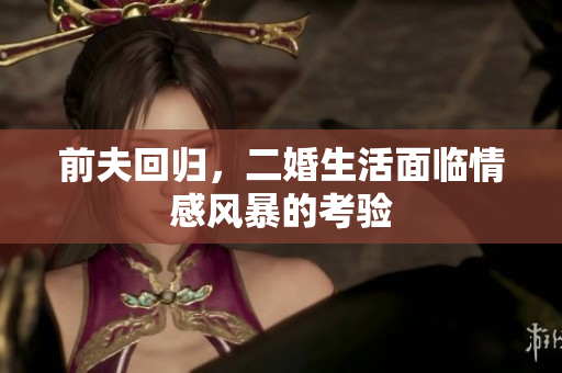 前夫回归，二婚生活面临情感风暴的考验