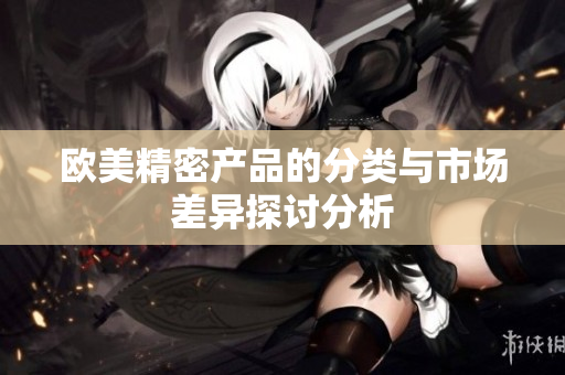 欧美精密产品的分类与市场差异探讨分析