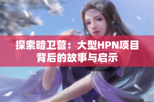 探索暗卫营：大型HPN项目背后的故事与启示