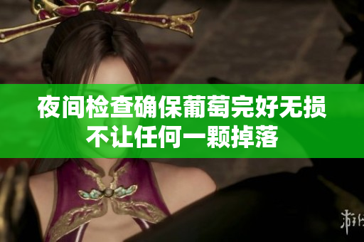 夜间检查确保葡萄完好无损不让任何一颗掉落
