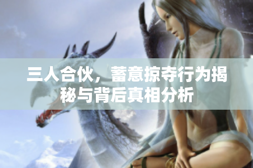 三人合伙，蓄意掠夺行为揭秘与背后真相分析