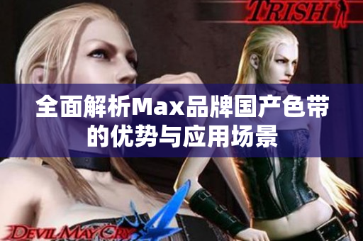 全面解析Max品牌国产色带的优势与应用场景