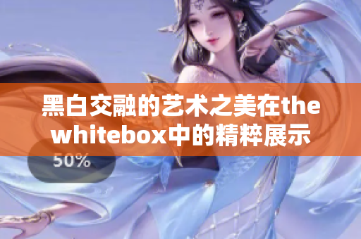 黑白交融的艺术之美在thewhitebox中的精粹展示
