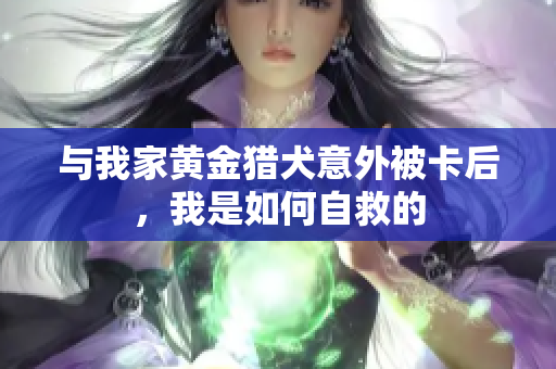 与我家黄金猎犬意外被卡后，我是如何自救的