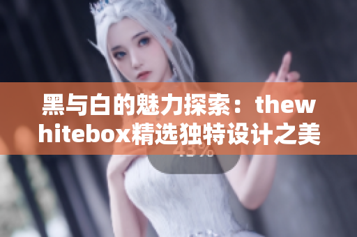 黑与白的魅力探索：thewhitebox精选独特设计之美
