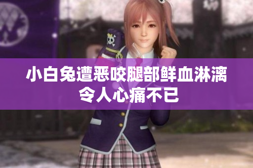 小白兔遭恶咬腿部鲜血淋漓 令人心痛不已
