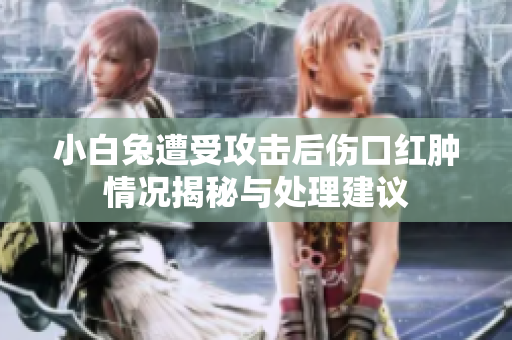 小白兔遭受攻击后伤口红肿情况揭秘与处理建议