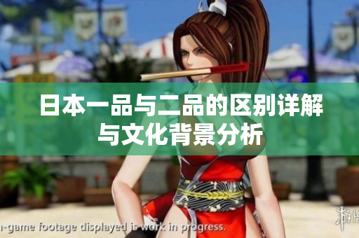 日本一品与二品的区别详解与文化背景分析
