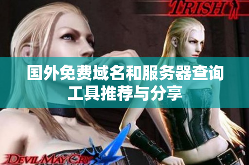 国外免费域名和服务器查询工具推荐与分享