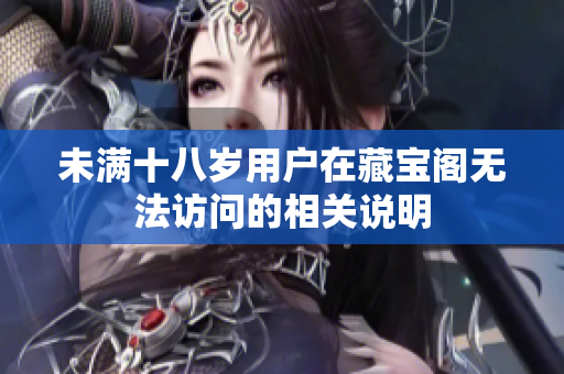 未满十八岁用户在藏宝阁无法访问的相关说明