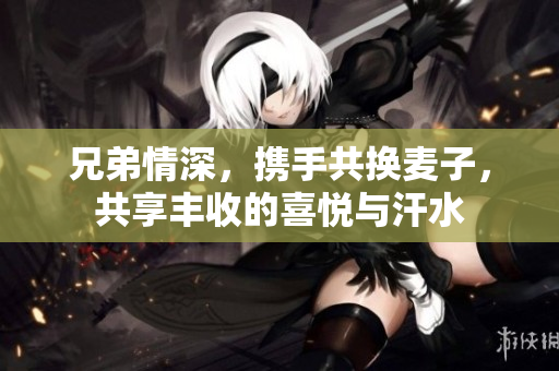 兄弟情深，携手共换麦子，共享丰收的喜悦与汗水