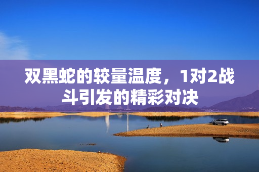 双黑蛇的较量温度，1对2战斗引发的精彩对决