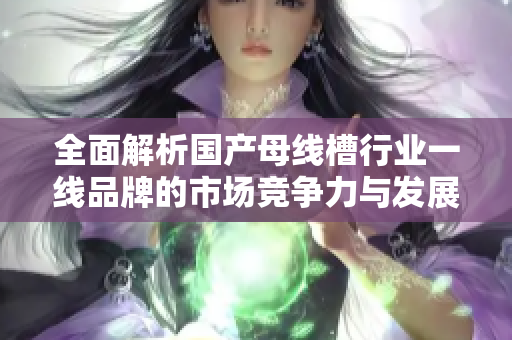全面解析国产母线槽行业一线品牌的市场竞争力与发展前景