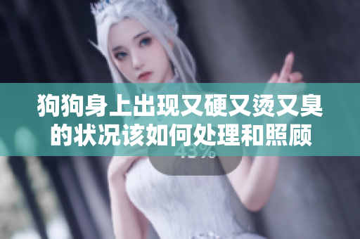 狗狗身上出现又硬又烫又臭的状况该如何处理和照顾