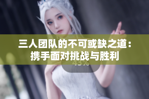 三人团队的不可或缺之道：携手面对挑战与胜利