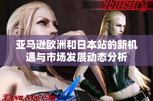 亚马逊欧洲和日本站的新机遇与市场发展动态分析