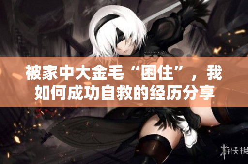 被家中大金毛“困住”，我如何成功自救的经历分享