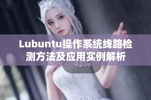 Lubuntu操作系统线路检测方法及应用实例解析