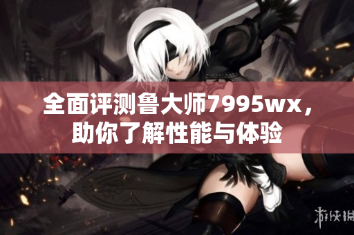 全面评测鲁大师7995wx，助你了解性能与体验