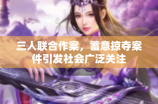 三人联合作案，蓄意掠夺案件引发社会广泛关注
