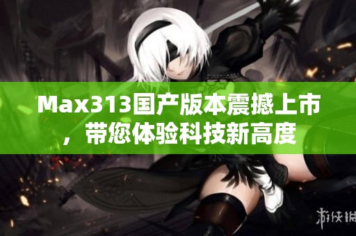 Max313国产版本震撼上市，带您体验科技新高度