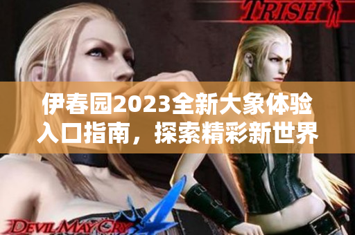 伊春园2023全新大象体验入口指南，探索精彩新世界