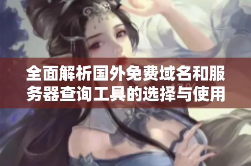 全面解析国外免费域名和服务器查询工具的选择与使用